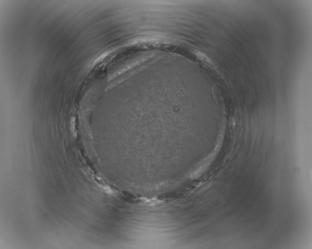 X0000078300822200611172146