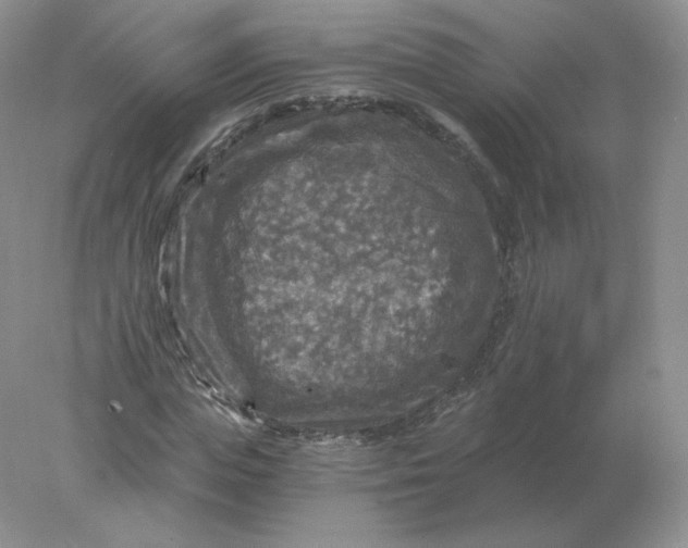 X0000078300823200611172146