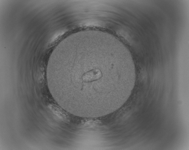 X0000078300824200611172146