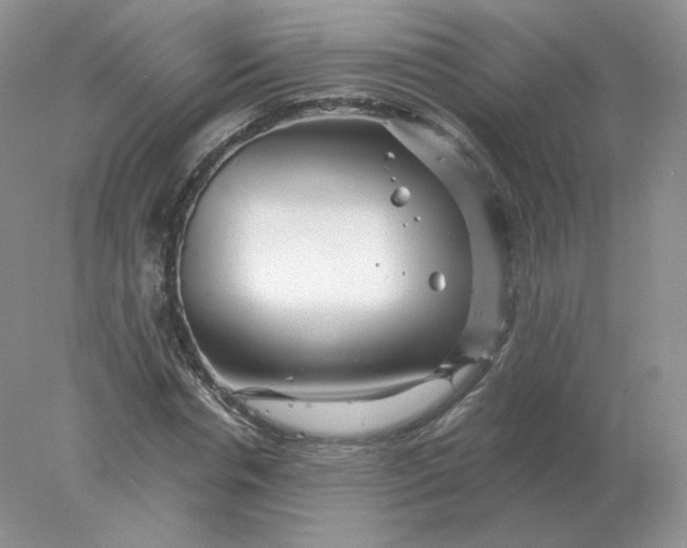 X0000078300826200611172146