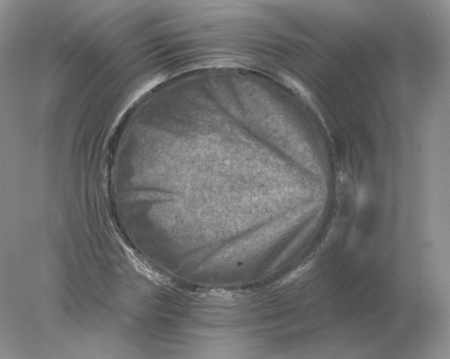 X0000078300827200611172146