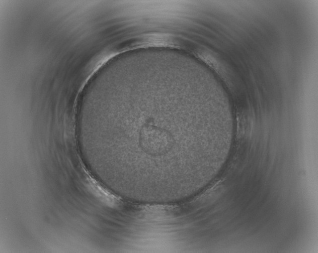 X0000078300828200611172146