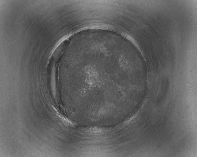 X0000078300829200611172146