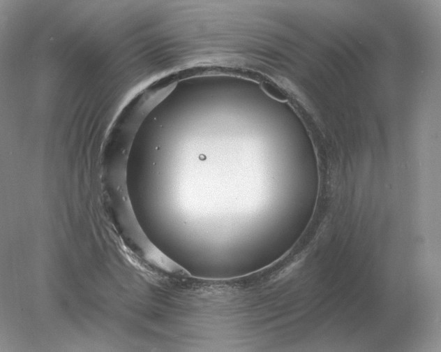 X0000078300830200611172146