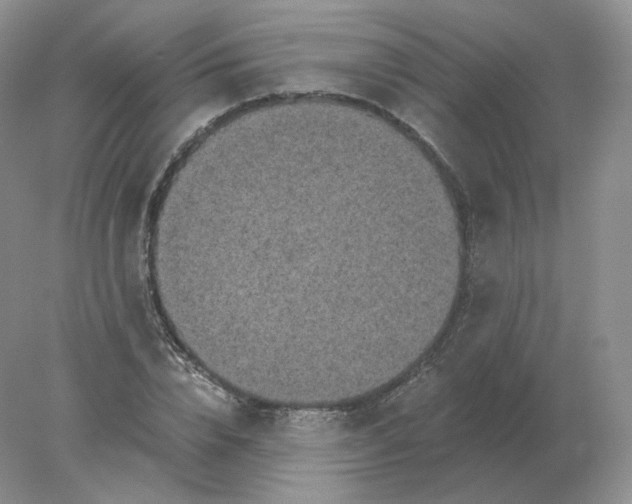 X0000078300832200611172146