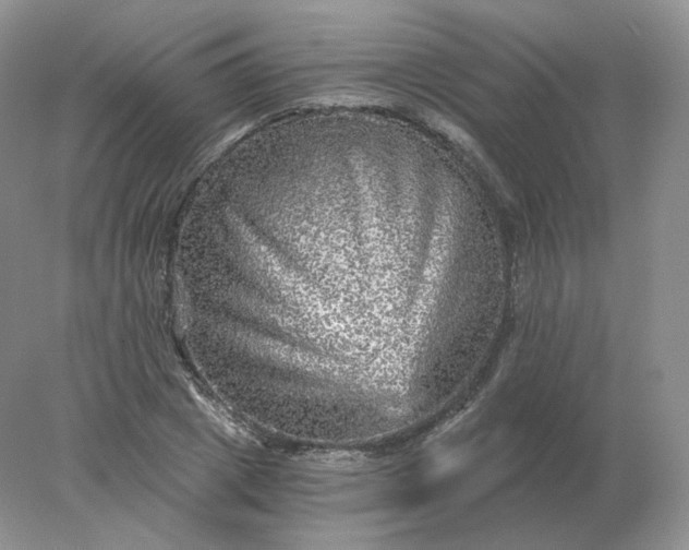 X0000078300833200611172146