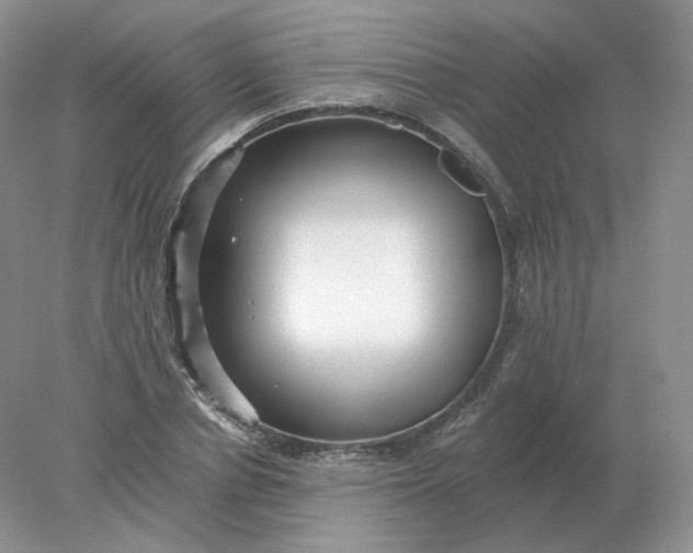 X0000078300834200611172146