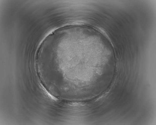 X0000078300835200611172146