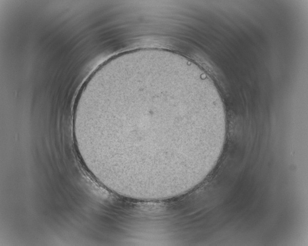 X0000078300836200611172146