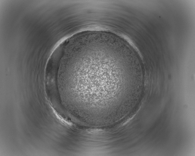 X0000078300837200611172146