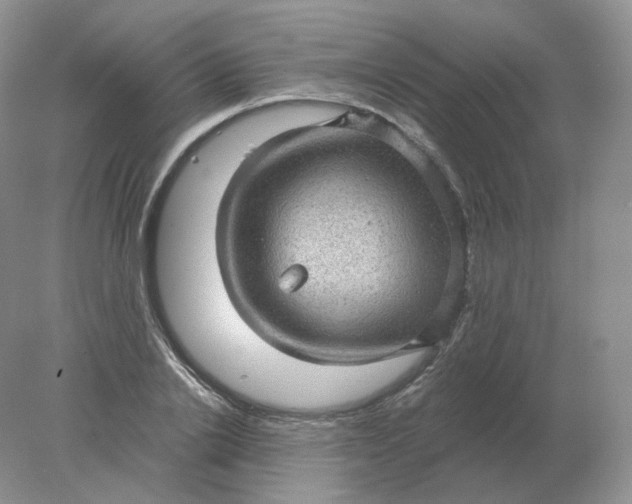 X0000078300838200611172146