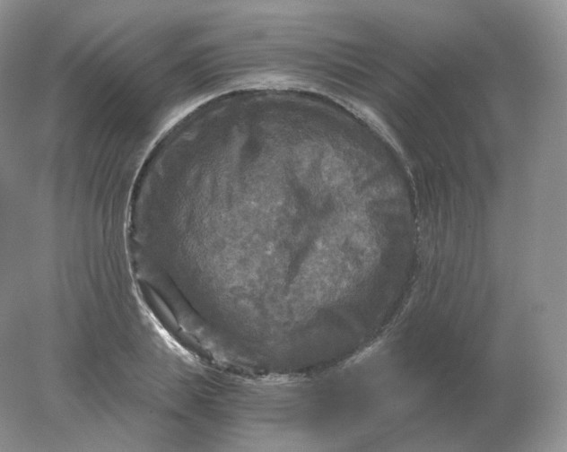 X0000078300839200611172146