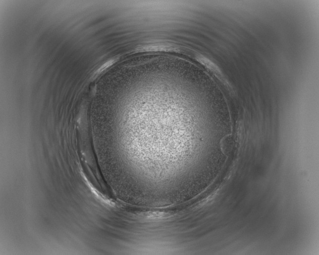 X0000078300841200611172146