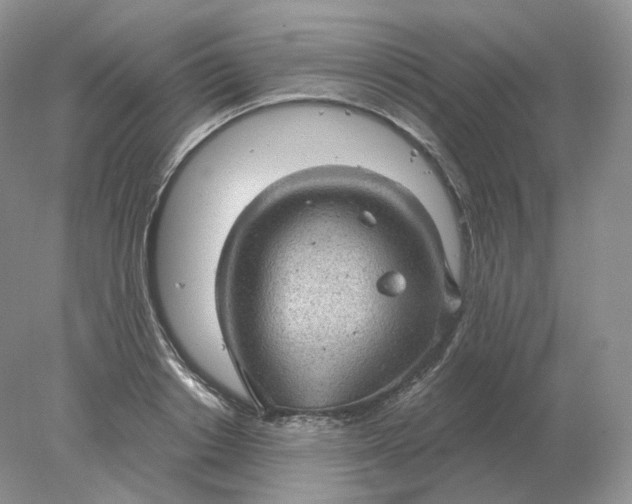 X0000078300842200611172146