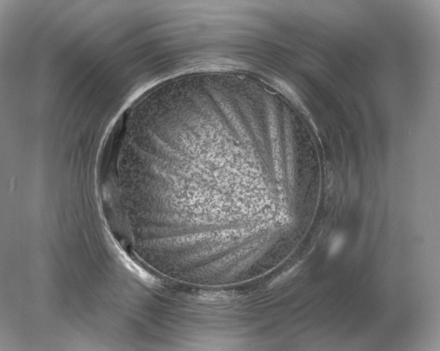 X0000078300843200611172146