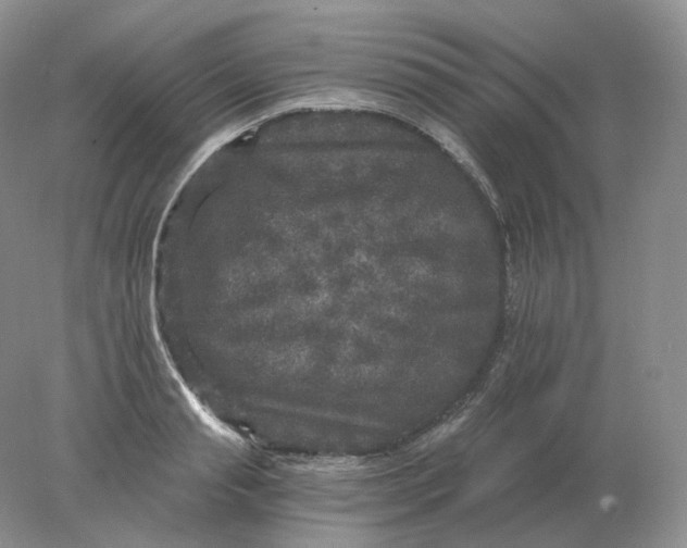 X0000078300845200611172146