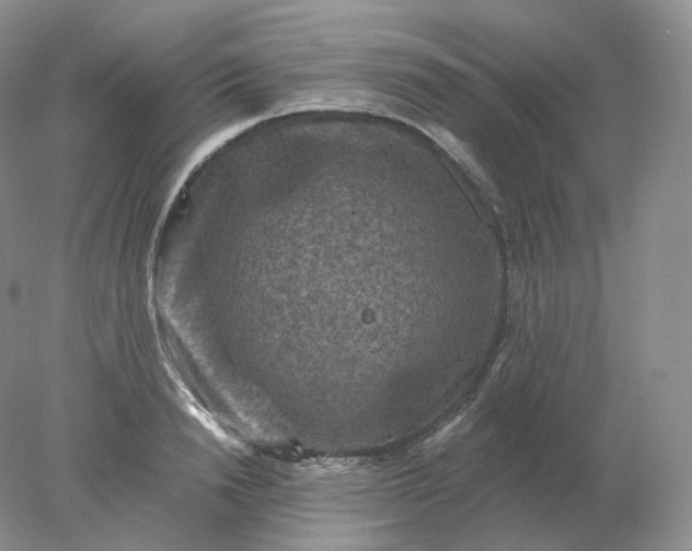 X0000078300846200611172146