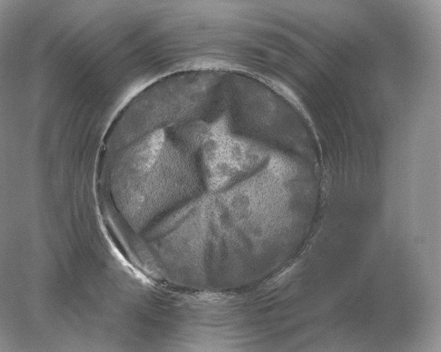 X0000078300847200611172146