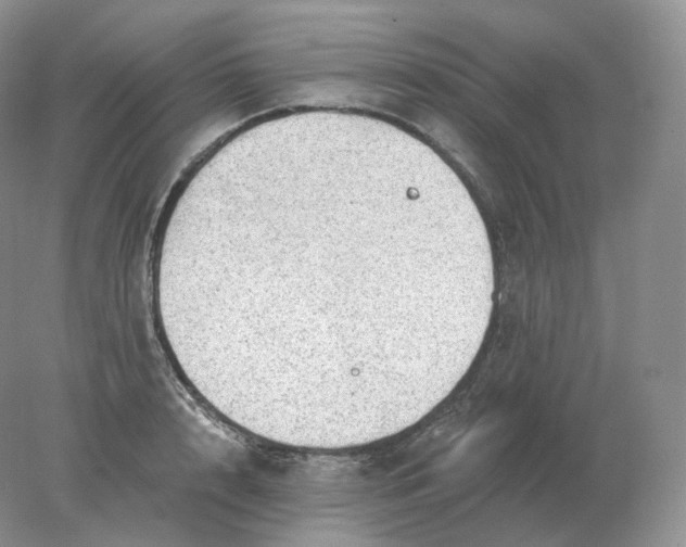 X0000078300848200611172146