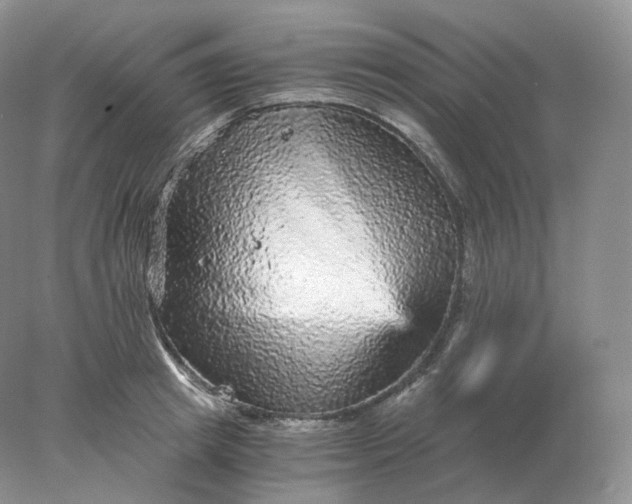 X0000078300849200611172146