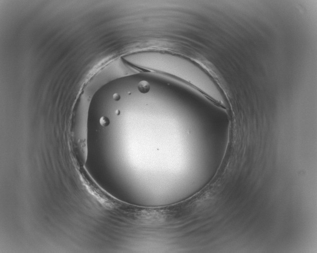 X0000078300850200611172146