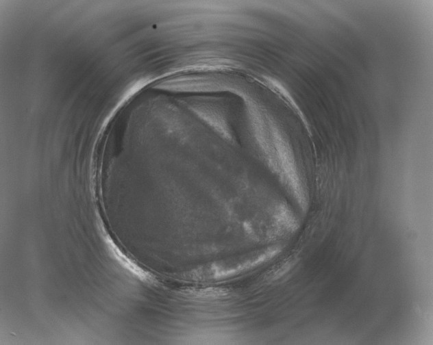 X0000078300851200611172146