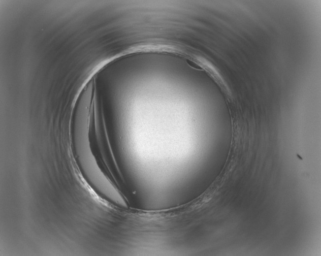 X0000078300852200611172146