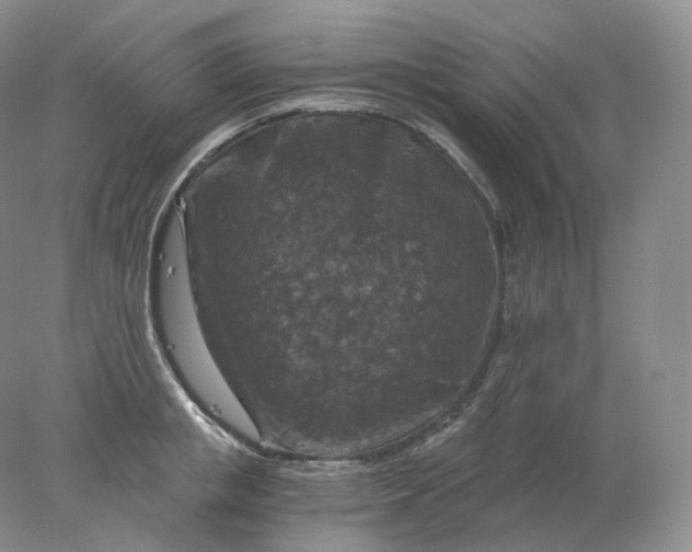 X0000078300853200611172146