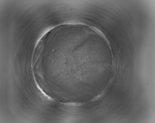 X0000078300855200611172146