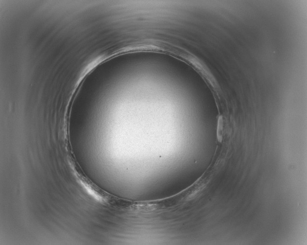 X0000078300858200611172146