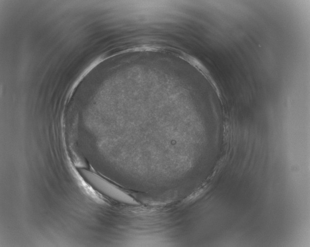 X0000078300859200611172146