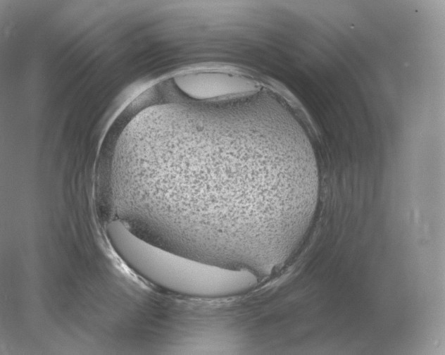 X0000078300860200611172146