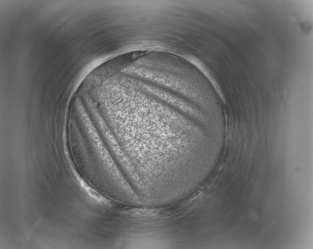 X0000078300861200611172146