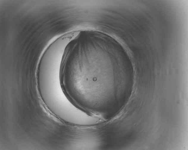 X0000078300864200611172146