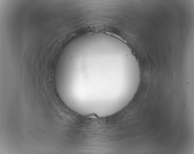 X0000078300865200611172146