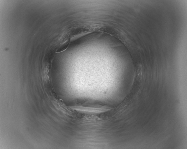 X0000078300866200611172146