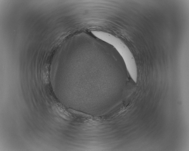 X0000078300868200611172146