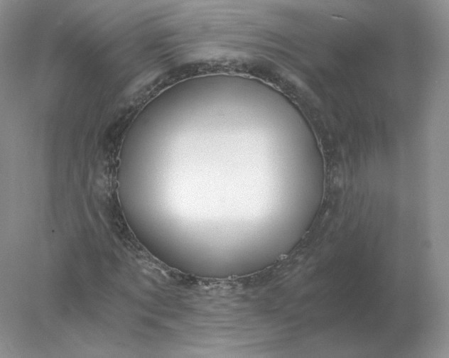 X0000078300869200611172146