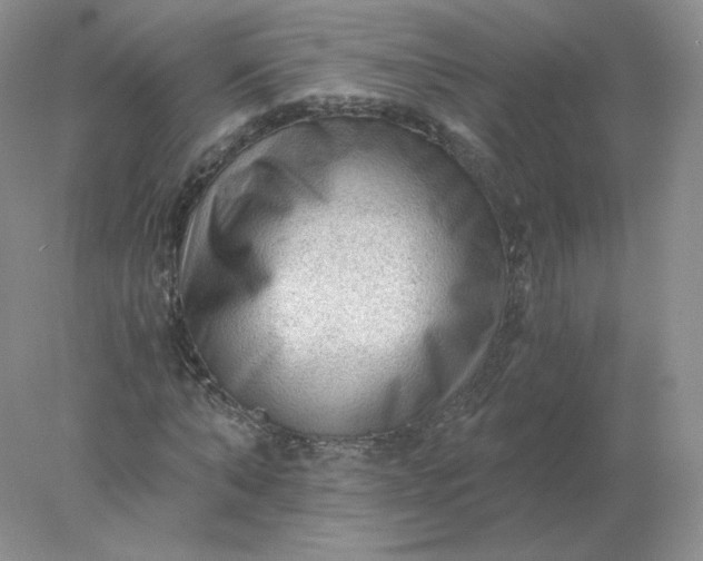 X0000078300870200611172146