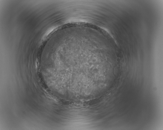 X0000078300871200611172146