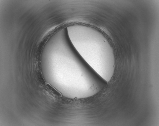 X0000078300872200611172145