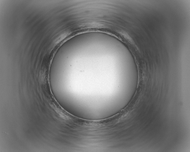 X0000078300873200611172145