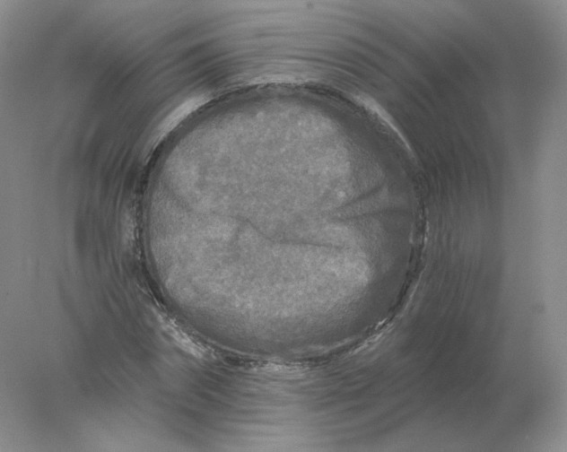 X0000078300874200611172145