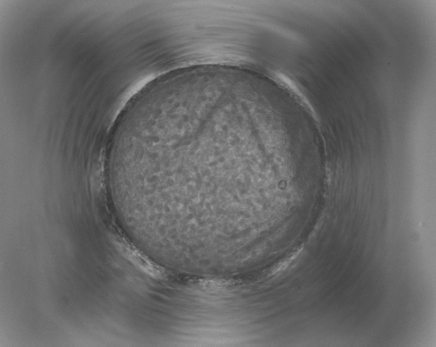 X0000078300875200611172145