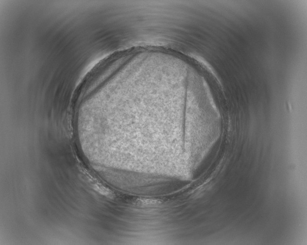 X0000078300878200611172145