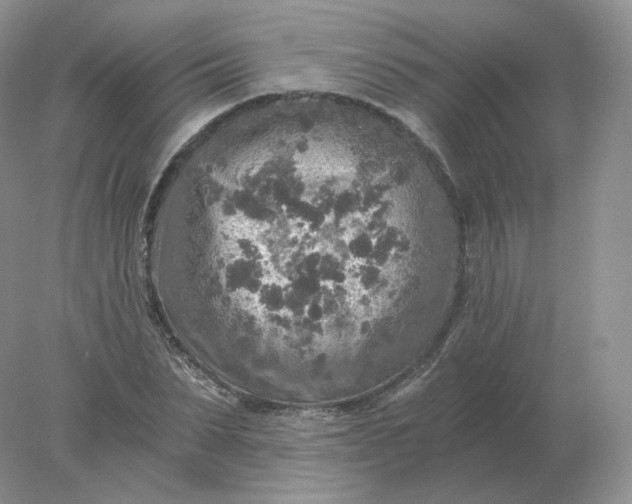 X0000078300879200611172145