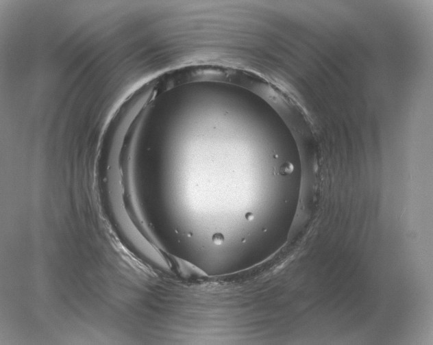 X0000078300880200611172145