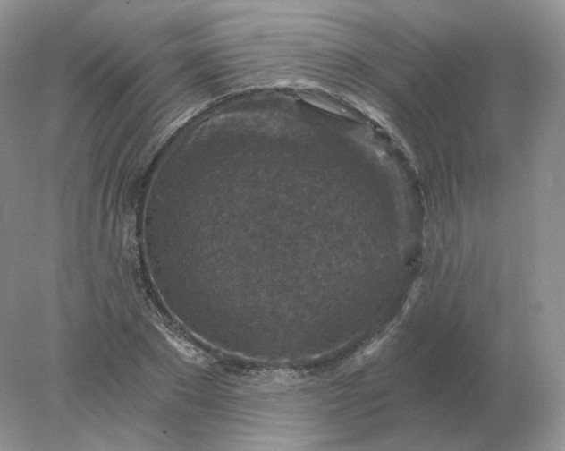 X0000078300881200611172145