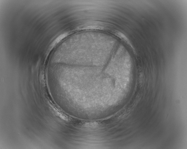 X0000078300882200611172145