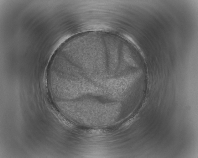 X0000078300883200611172145